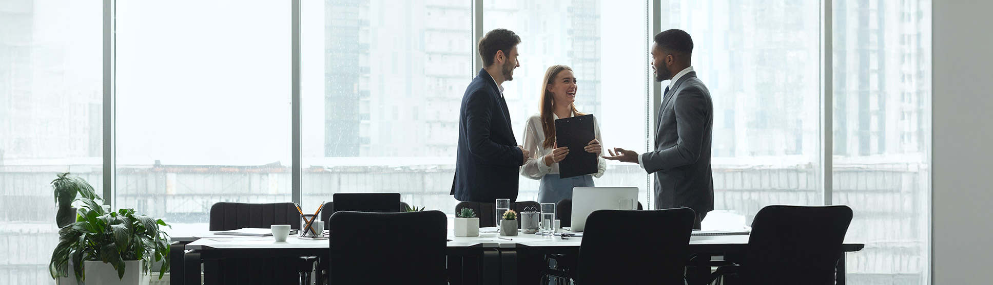 professional business team meeting in office with windows