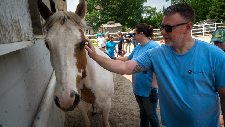 Two volunteers pet a horse outside.